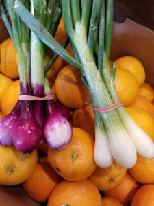 Farm fresh locally grown onions